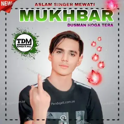 Mukhbar Dusman Hoga Tera - Tahseem Dehangal album cover 