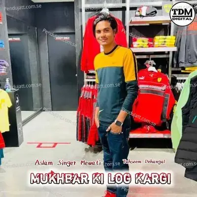 Mukhbar Ki Log Kargi - Tahseem Dehangal album cover 