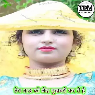 Mukhbari Kar Ro Hai - Tahseem Dehangal album cover 