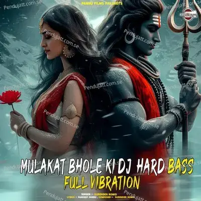 Mulakat Bhole Ki Dj Hard Bass Full Vibration - Surender Romio album cover 