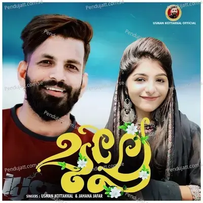 Mulle - Usman Kottakkal album cover 