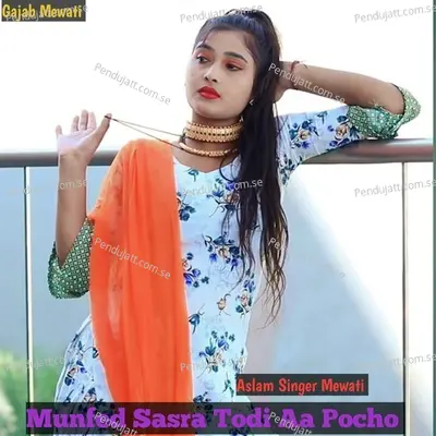 Munfed Sasra Todi Aa Pocho - Aslam Singer Mewati album cover 