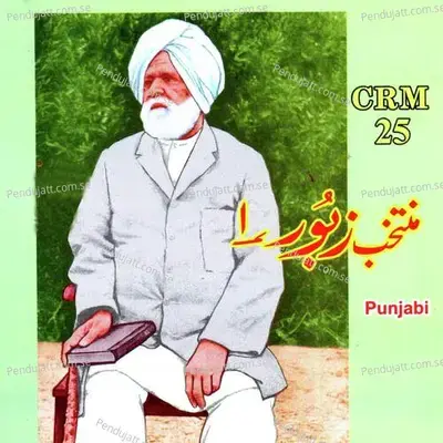 Rab Ayali Mere Kol - Mehnaz album cover 