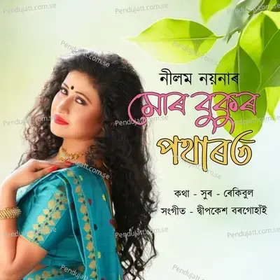 Mur Bukur Potharot - Neelam Noyona album cover 