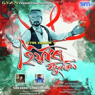 Mur Hiyar Phulonit - Jitul Jumon album cover 