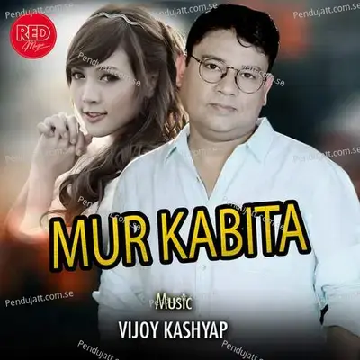 Luitor - Vijoy Kahya album cover 