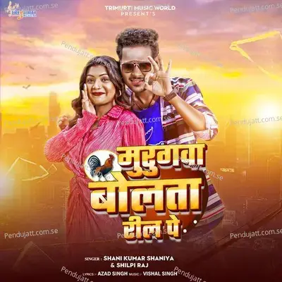 Murgawa Bolta Reel Pe - Shani Kumar Shaniya album cover 