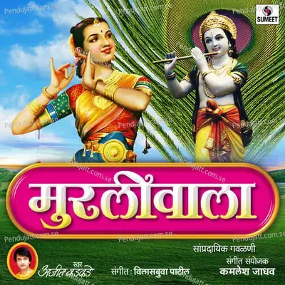 Murliwala - Ajit Kadkade album cover 