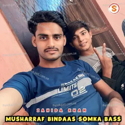 Musharraf Bindaas Somka Bass - Zahida khan album cover 