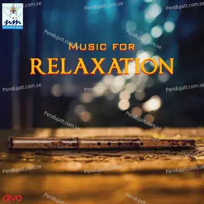 Relaxation - Nandu album cover 