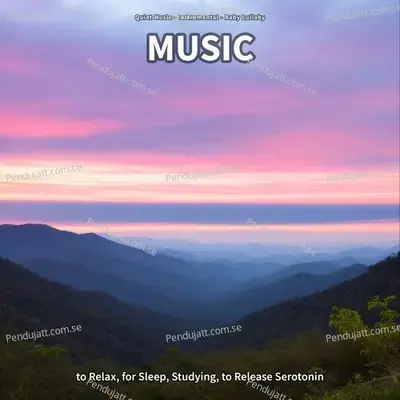 Music To Fall Asleep Fast - Quiet Music album cover 