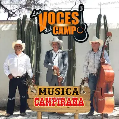 La Piedrecita - Las Voces Del Campo album cover 