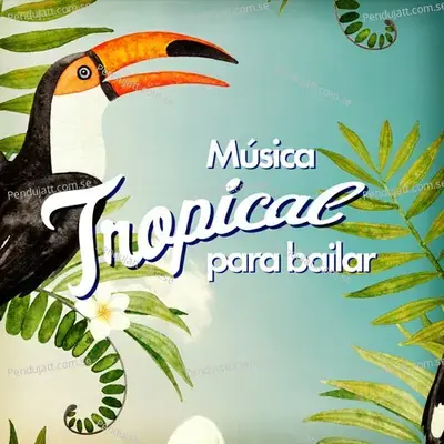 Musica Tropical Para Bailar - Various Artists cover album