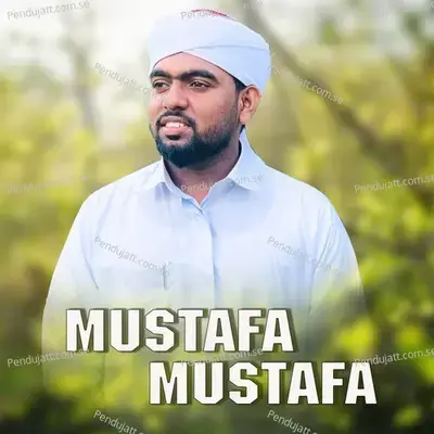 Mustafa Mustafa - SUHAIL BAQAVI VAZHAKKAD album cover 