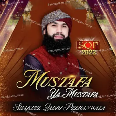 Mustafa Ya Mustafa - Shakeel Qadri Peeranwala album cover 