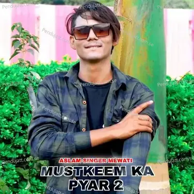 Mustkeem Ka Piyar 2 - Aslam Singer Mewati album cover 