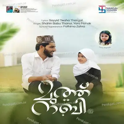 Muth Nabi - Shahin Babu Tanur album cover 