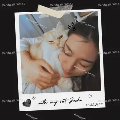 My Cat Jadu - Suzanne DMello album cover 