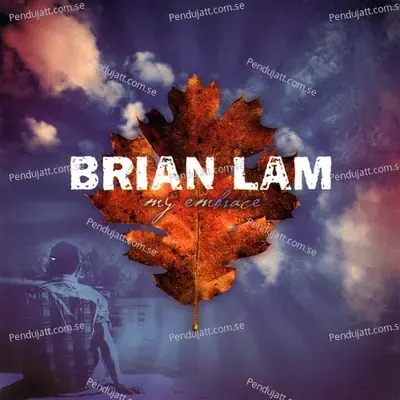 Love Finds You - Brian Lam album cover 