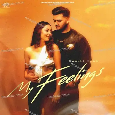 My Feelings - SWAZEE BAWA album cover 