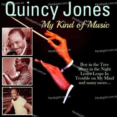 The Preacher - Quincy Jones album cover 