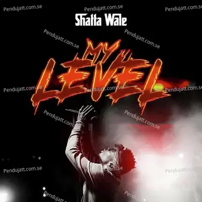 My Level - Shatta Wale