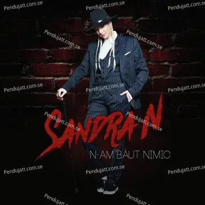 N-Am Baut Nimic - Sandra N album cover 