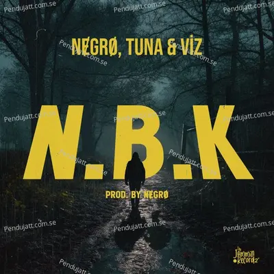 N b k - Nɇgrø album cover 