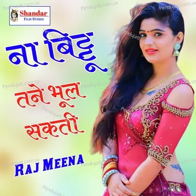 Na Bittu Tane Bhul Sakti - Raj Meena album cover 