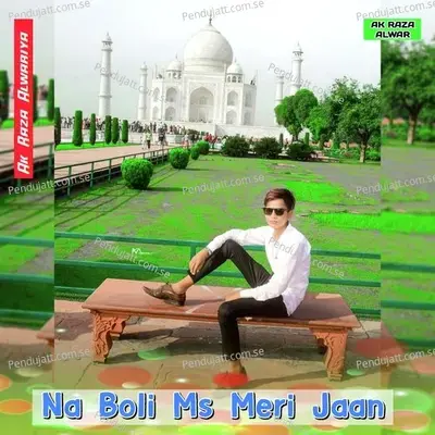 Gaam Su Dusmani Leli - AK RAZA ALWARIYA album cover 