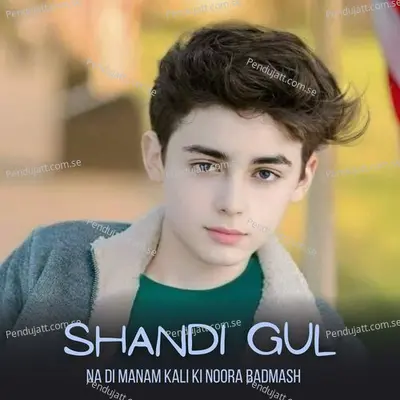 Na Di Manam Kali Ki Noora Badmash - Shandi Gul album cover 