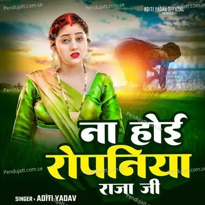 Na Hoyi Ropniya Raja Ji - Aditi Yadav album cover 