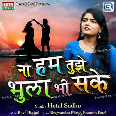 Na Hum Tujhe Bhula Bhi Sake - Hetal Sadhu album cover 