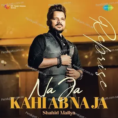 Na Ja Kahi Ab Na Ja - Reprise - Shahid Mallya album cover 