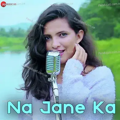 Na Jane Ka - Mrunal Shankar album cover 