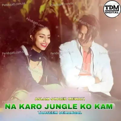 Na Karo Jungle Ko Kam - Tahseem Dehangal album cover 