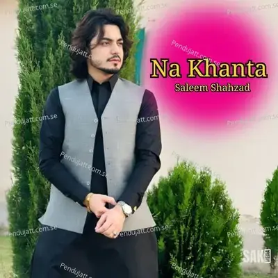 Mubarak Salda - Saleem Shahzad album cover 