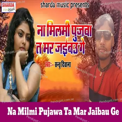 Na Milmi Pujawa Ta Mar Jaibau Ge - Santu Diwana album cover 