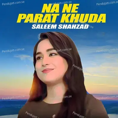 Na Ne Parat Khuda - Saleem Shahzad album cover 