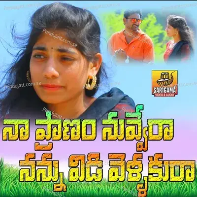Na Pranam Nuvvera - Veena album cover 
