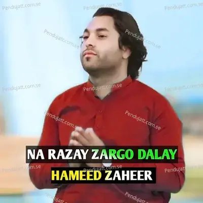 Na Razay Zargo Dalay - Hameed Zaheer album cover 