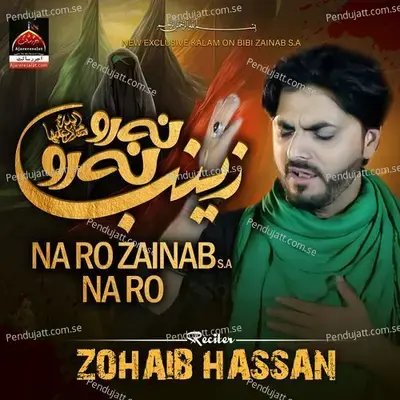 Na Ro Zainab Na Ro - Zohaib Hassan album cover 