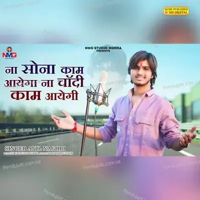 Na Sona Kam Aayega Na Chandi Kam Aayegi - Anil Nagori album cover 