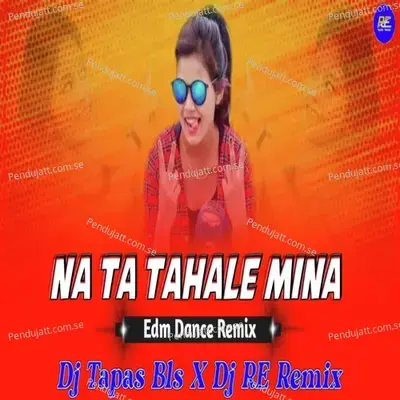 Na Ta Tahale Mina Remix - Rudra Empire album cover 