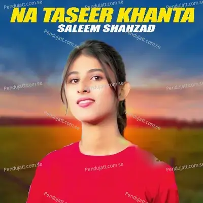 Na Taseer Khanta - Saleem Shahzad album cover 