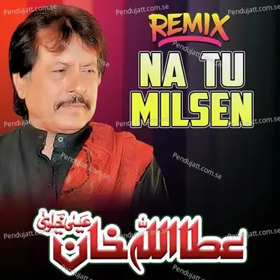 Na Tu Milsen Remix - Attaullah Khan Esakhelvi album cover 