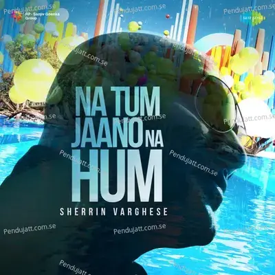 Na Tum Jaano Na Hum - Sherrin Varghese album cover 