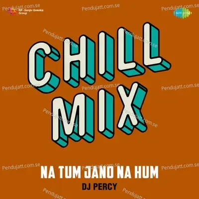 Na Tum Jano Na Hum Chill Mix - Dj Percy album cover 