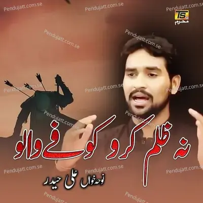 Na Zulm Kro Kufay Walo - Ali Haider album cover 