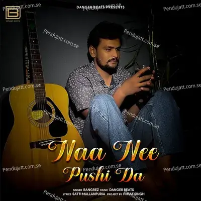 Naa Nee Pushi Da - Rangrez album cover 